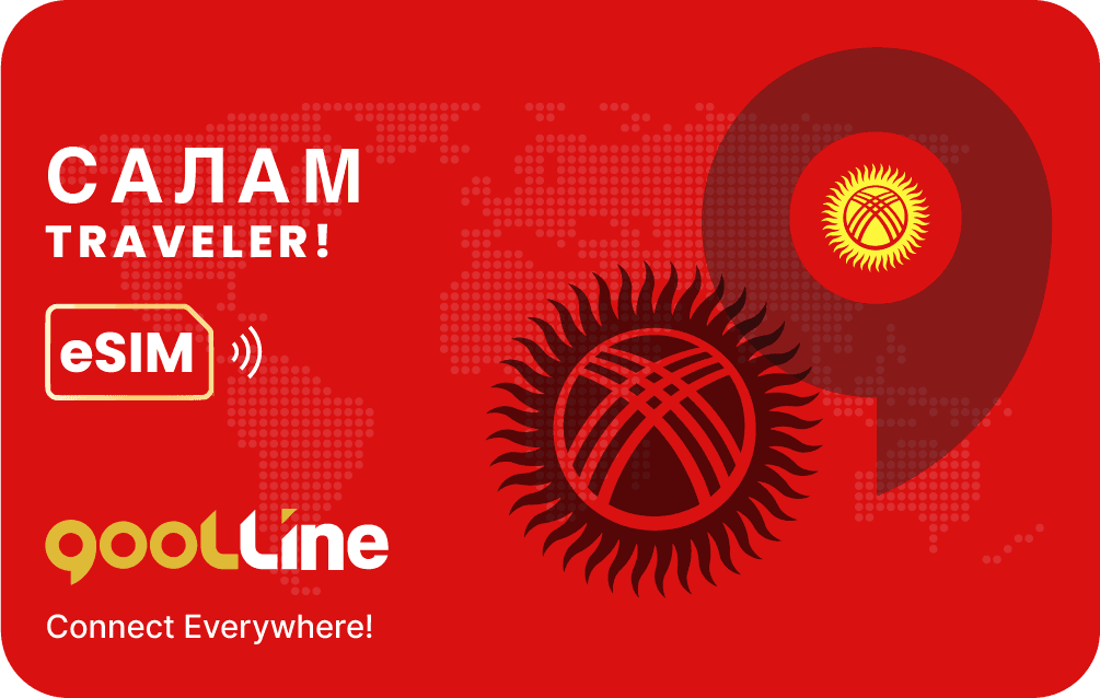 eSIM plan artwork