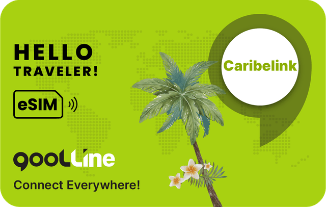 CARIBELINK